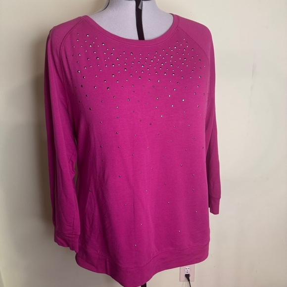 Pink Studded Long Sleeve Sweatshirt - Picture 1 of 1